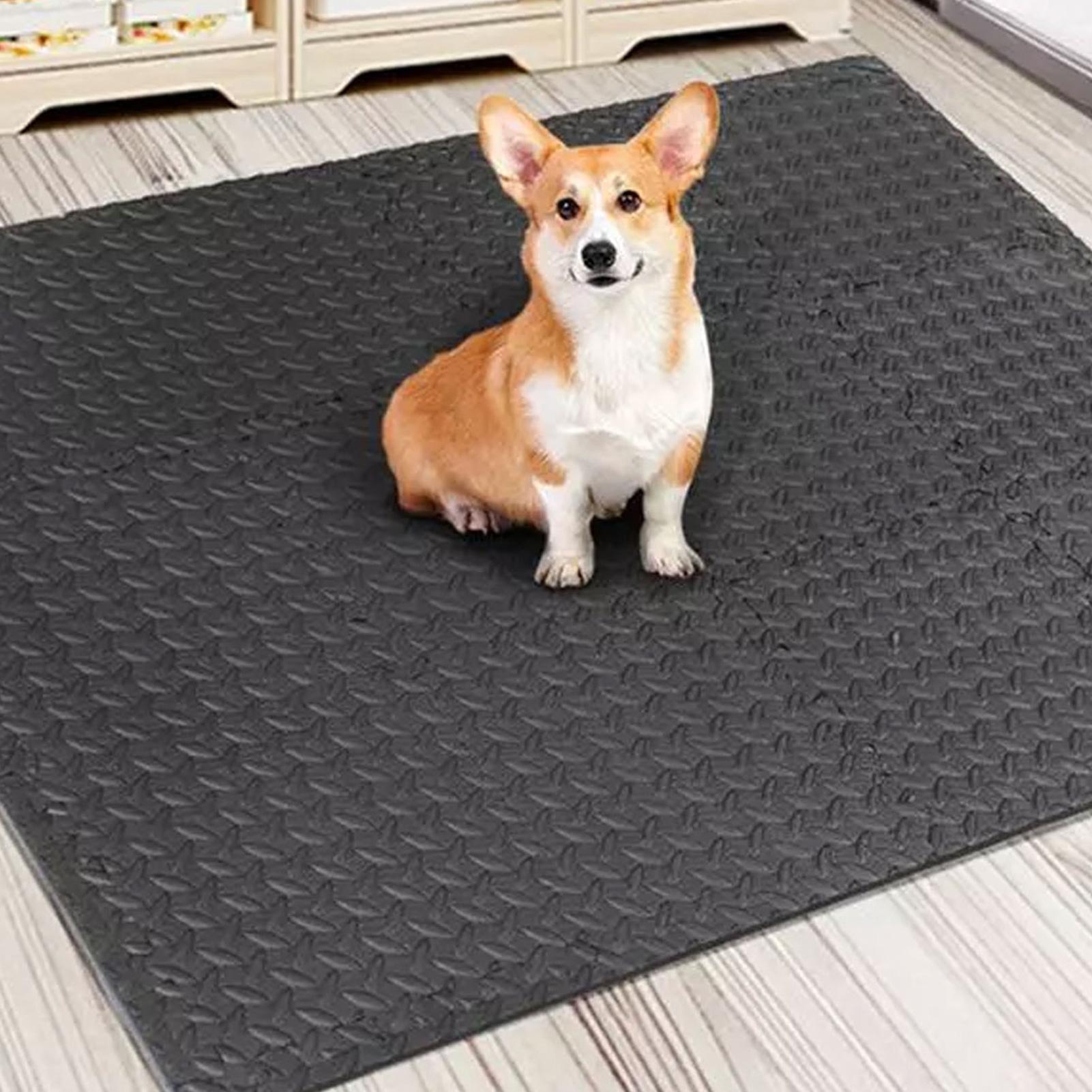 Puzzle Exercise Mat 12 Pieces  - Home Gym For Toddlers recensie en prijs